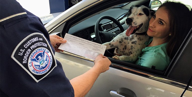 Local issue amplification